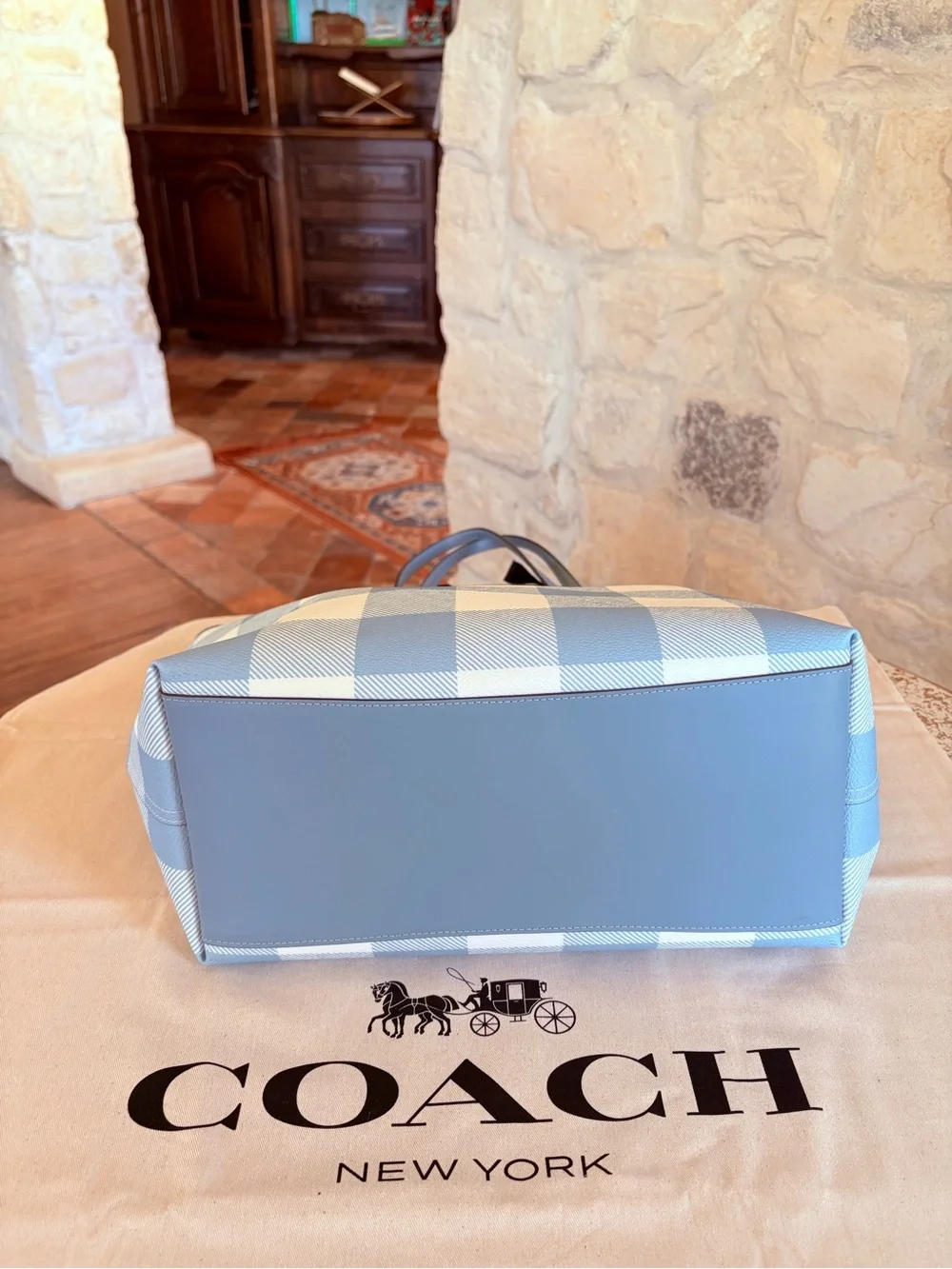 Coach Blue and White Gingham Tote with Cherry Charm